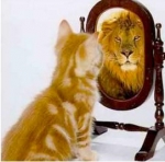 No basta ver las cosas distintas, ayuda a los demas a ver como tú