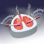 El CIGARRO: un vicio maligno