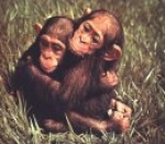 Gente humilde no precisa sirvientes 