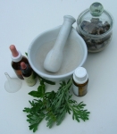 Todo Sobre Plantas Medicinales