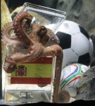 Muere el Pulpo Paul en Alemania