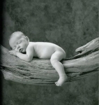 “GVO  da consejos espectaculares a webconferencia”