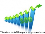 Técnicas de tráfico para emprendedores en la red - Puntos Básicos