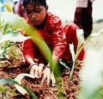 Importes de pago PAC 2010 (saldo - segundo pago)