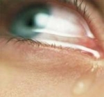 Cómo liberarnos de los fantasmas visibles e invisibles(maltrato psicológico)