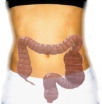 Limpie su intestino de forma natural 