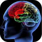 El ego y el momento presente