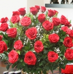 Cuando Regalar Rosas Rojas