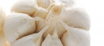 Descubre los beneficios del ajo 
