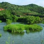 Qué es el bioma de humedales