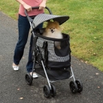 Nicho de eBay – Productos para Mascotas