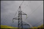 La Foto del día: 20-04-2011 "Alta tensión"