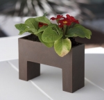 El cuidado de las plantas en macetas