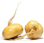 Sabias que: La Maca es un excelente Vigorizante Natural ?