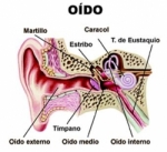 Tratamiento tinnitus