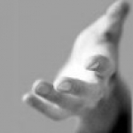 Marketing Multinivel - La Importancia de un Mentor