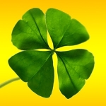 La buena suerte hay que ejercitarla