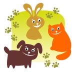 Constelaciones de mascotas. Terapia para animales de compañía