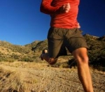 El Valor de la Perseverancia