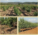 El uso correcto que el hombre le da a los suelos