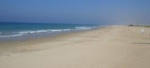 Conoce las playas de conil.