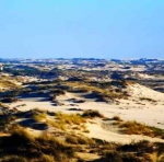 Matalascañas y el Parque de Doñana