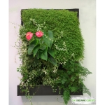 Diseña y construye tu propio jardín vertical