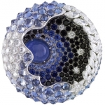 El verdadero origen de las enfermedades 