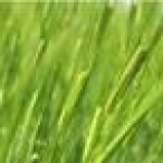 Campos en Venta en Argentina