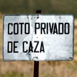 Caza menor: Caza del conejo con hurón