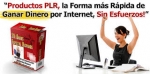 Planes de Negocios en Internet revelados para hacer dinero rápido en línea.