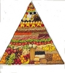 BIOCOMPATIBILIDAD, UN NUEVO ENFOQUE DE LA NUTRCION