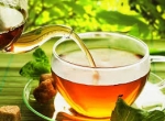 Los beneficios para la salud del té verde