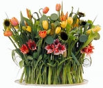 Cómo el ecommerce ayuda a mantener a las familias unidas