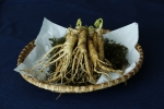 Ginseng: ¿ Cuáles es su origen y beneficios milenarios?