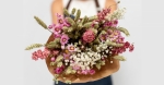 ¿Cuáles son las mejores flores para expresar lo siento?